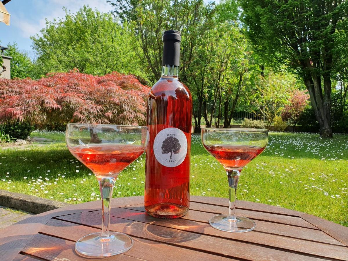 Tenuta I Lecci Terranuova Bracciolini Ngoại thất bức ảnh