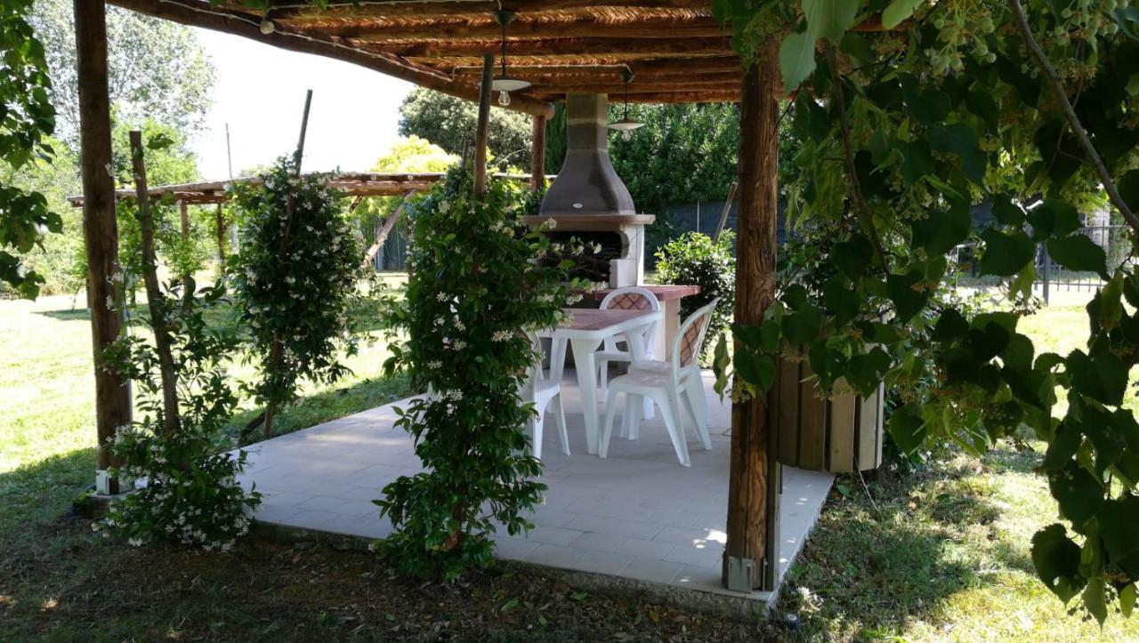 Tenuta I Lecci Terranuova Bracciolini Ngoại thất bức ảnh