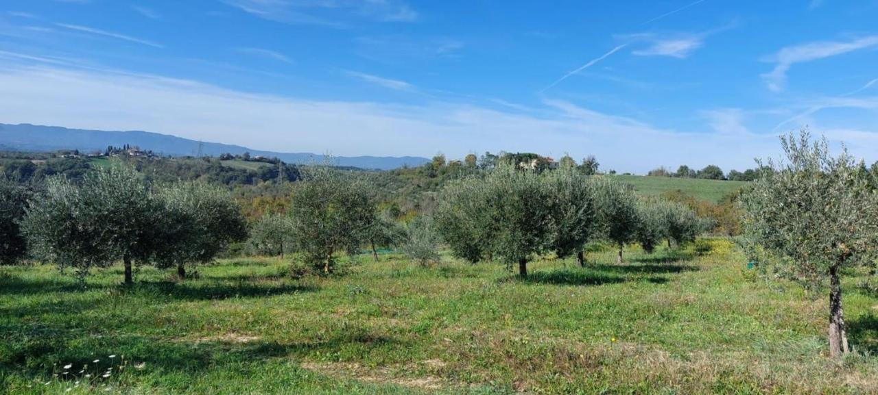 Tenuta I Lecci Terranuova Bracciolini Ngoại thất bức ảnh